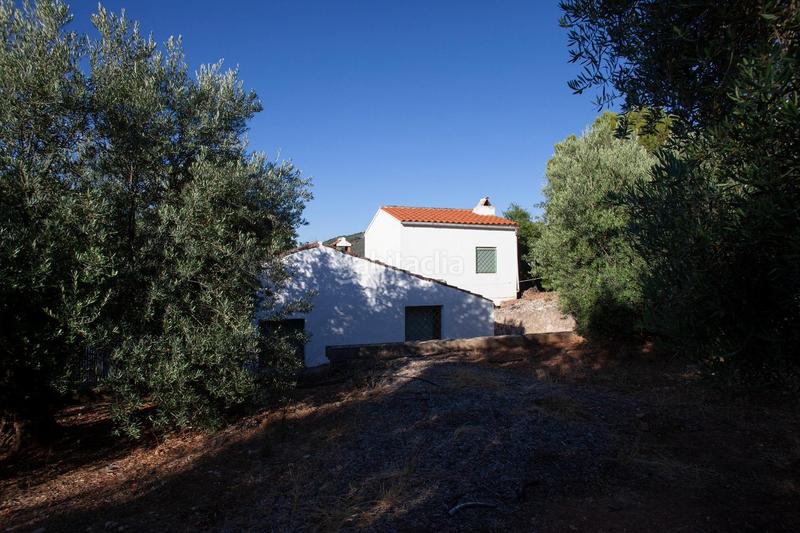 Foto ddb0971b-bc08-40e8-8992-5b5fac7ad266. Masía en diseminado 53 finca rústica casa en venta en jaen andalucia alto rendimiento y rentabilidad en Beas de Segura