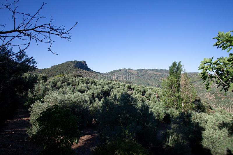 Foto eb1afde9-71f0-4b82-9a54-4d743c668c7d. Masía en diseminado 53 finca rústica casa en venta en jaen andalucia alto rendimiento y rentabilidad en Beas de Segura