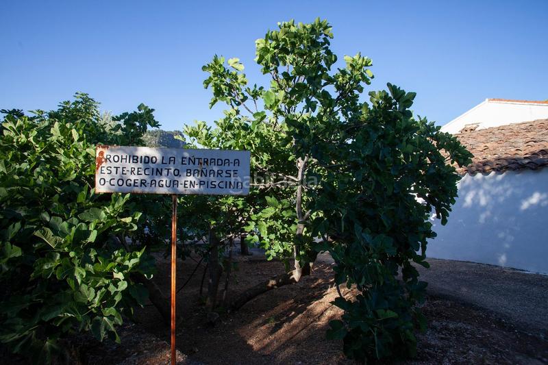 Foto ee1a0403-ae5e-421d-9c70-21756a3d278e. Masía en diseminado 53 finca rústica casa en venta en jaen andalucia alto rendimiento y rentabilidad en Beas de Segura