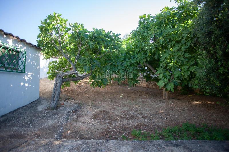 Foto f4ec6785-10ea-4a45-9d12-9a33c154502c. Masía en diseminado 53 finca rústica casa en venta en jaen andalucia alto rendimiento y rentabilidad en Beas de Segura