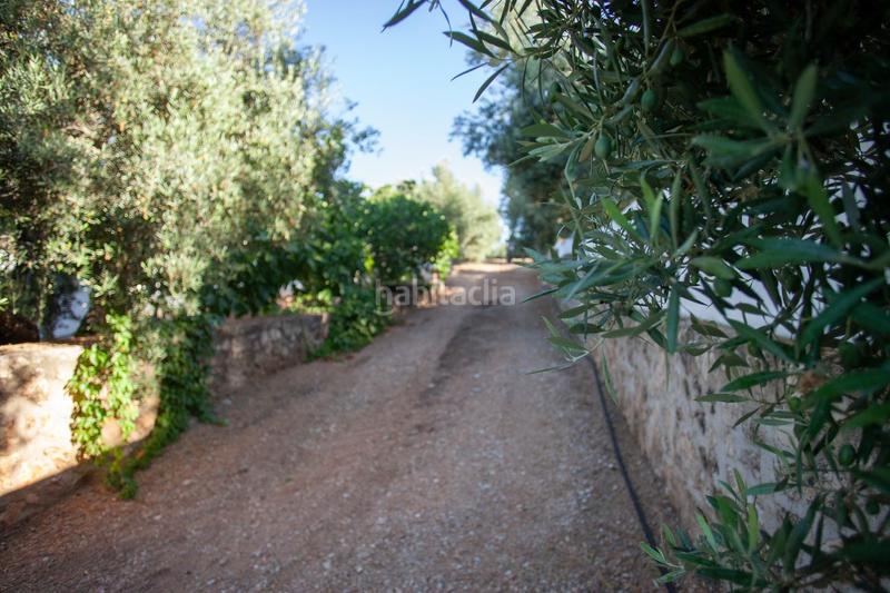 Foto ff9e97ad-db8f-4e26-a968-9eecdf785419. Masía en diseminado 53 finca rústica casa en venta en jaen andalucia alto rendimiento y rentabilidad en Beas de Segura