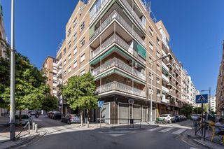 Pis a Calle CISNE 9