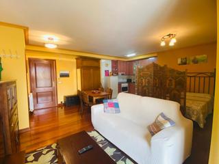 Location Appartement à Ezcaray. Estudio en alquiler