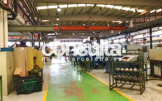 Lloguer Nau industrial a Carrer casal de santa coloma 6. Muelles de carga y descarga
