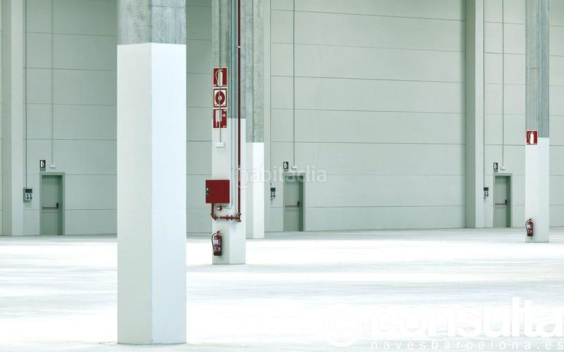 Foto 3f5fd5a7-de82-4ba9-a181-faec3cd4647e. Affitto capannone industriale in carrer de la vinya s/n in Bisbal del Penedès (La)