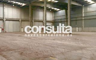 Lloguer Nau industrial a Carrer del ter 1. 12 muelles de carga y descarga