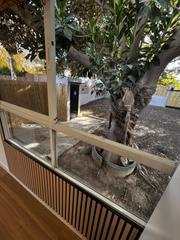 Miete Bauernhof in Alguazas. Pequeña casa con terreno a estrenar!!