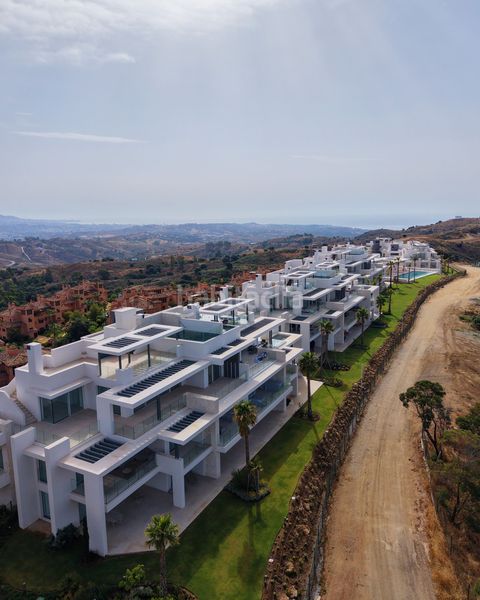 Foto ea13b220-08f8-4f3e-bb4e-3bac214eb09a. Planta baixa amb piscina a La Mairena Ojén