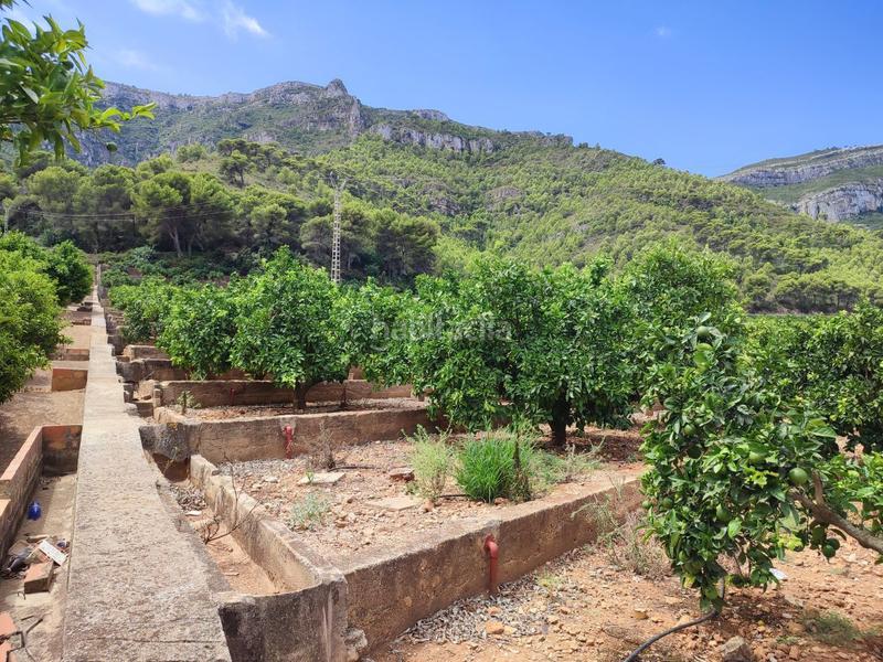 Foto 6ca599ee-0e2a-48b7-93bd-3a46d7334ce5. Finca rústica a Tavernes de la Valldigna