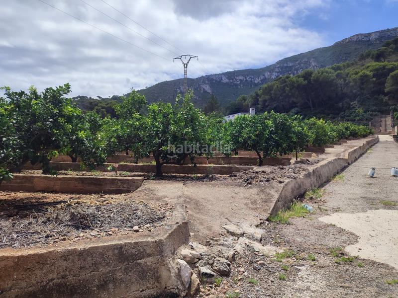 Foto a1f2ac3d-fbea-4ba0-9857-5ddb7e37a69b. Finca rústica a Tavernes de la Valldigna