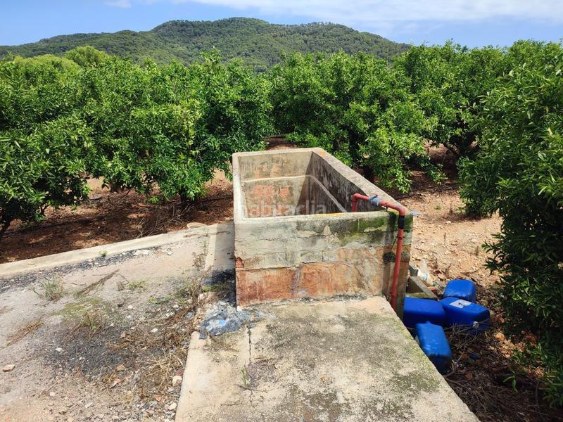 Foto a2737083-5768-454e-90b0-0231de20f9eb. Finca rústica a Tavernes de la Valldigna