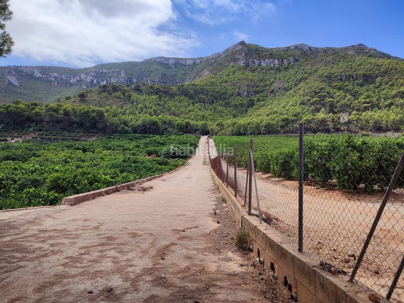 Foto f7a32952-1ff2-4d2d-8afc-658b54bdcca0. Finca rústica a Tavernes de la Valldigna