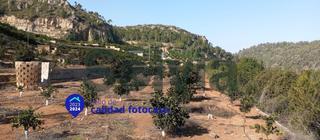Terrain rsidentiel en Urbanitzacions i Pedanies Sud. Venta de parcela rstica la barraca daiges vives, alzira