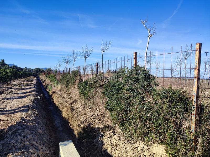 Foto 9f34a2c4-e0e3-4cea-b0d9-576af52e1c28. Terreno residencial terreno rustico en la zona de campanar en Sueca