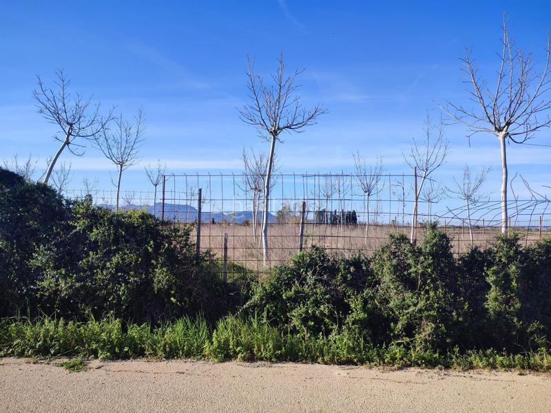 Foto c804667f-a69c-4185-bfc1-933afde92093. Terreno residencial terreno rustico en la zona de campanar en Sueca