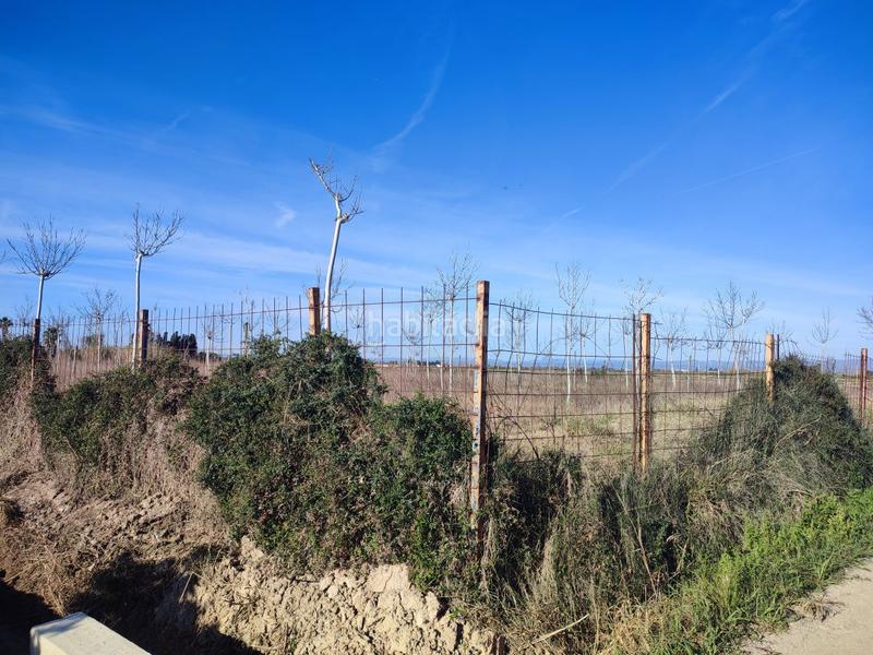 Foto cc7b0ae0-0e99-474b-9d47-149c9ab57d42. Terreno residencial terreno rustico en la zona de campanar en Sueca