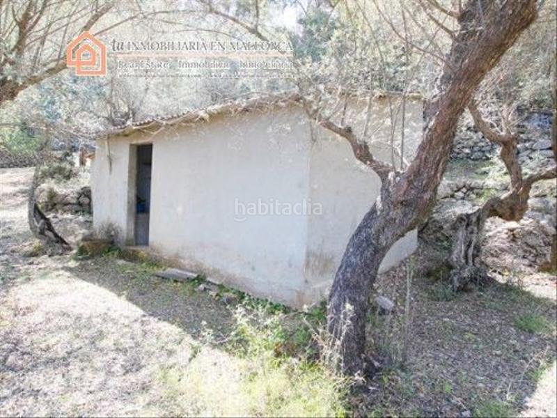 Foto 893b616a-a658-48e4-9bc4-ad451984538b. Terreno residenziale in carretera lluc 45 in Fornalutx