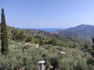 Finca rústica a Cinc pons 0. Olivar con cueva en sóller