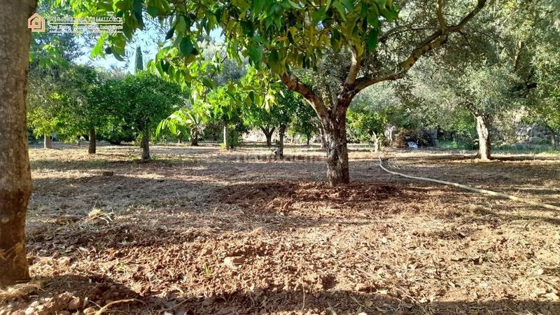 Foto 0ab1ebc0-df5e-4066-9f65-2cc4522efa32. Masía en ma-2123 2 casa con amplio terreno y magníficas vistas en Sóller