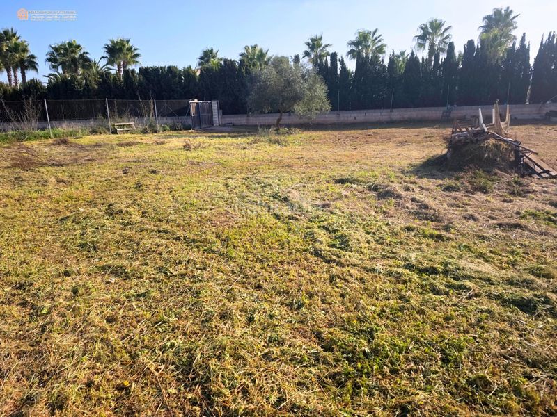 Foto 21ea83c1-442e-48c8-be71-975439301aba. Finca rústica a Felanitx poble Felanitx