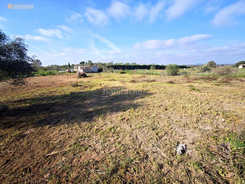 Foto 933c86ad-e6b3-482c-9846-d703c255a71a. Finca rústica a Felanitx poble Felanitx