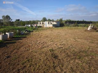 Rural plot  Camino son negre. Parcela rústica de 2.689 m2 en felanitx  zona segona volta