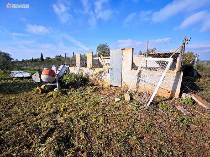 Foto b55daa91-1447-42c5-8b40-be0eef65f513. Finca rústica a Felanitx poble Felanitx