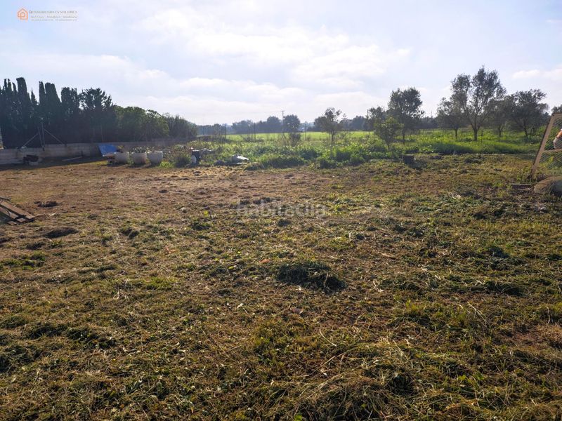 Foto bf21727d-ce22-4ef4-9994-44b6b9393462. Finca rústica a Felanitx poble Felanitx
