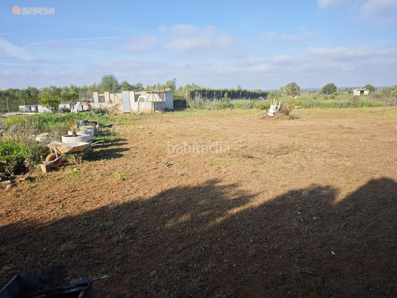 Foto c47b5da7-04e7-4c0a-a12e-09311b94d332. Finca rústica a Felanitx poble Felanitx