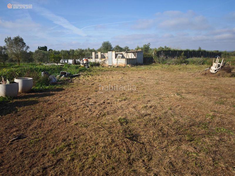 Foto db28c13a-2eb7-4177-aeb1-b4c6e3eb9dbf. Finca rústica a Felanitx poble Felanitx