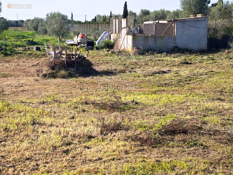 Foto f5e62dec-588d-4d05-85c1-1fa6162e4c27. Finca rústica a Felanitx poble Felanitx