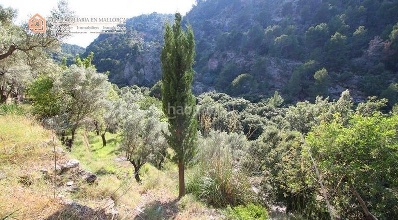 Foto 6f630049-7852-4222-a927-54ec28fab2c1. Finca rústica a carretera ma-11a 52 a Sóller