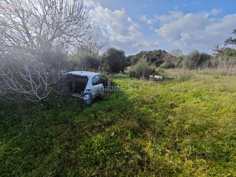 Foto 1416dc78-c185-423e-9e3c-d3ef188e48e1. Casale in Capdepera 12 in Capdepera poble Capdepera