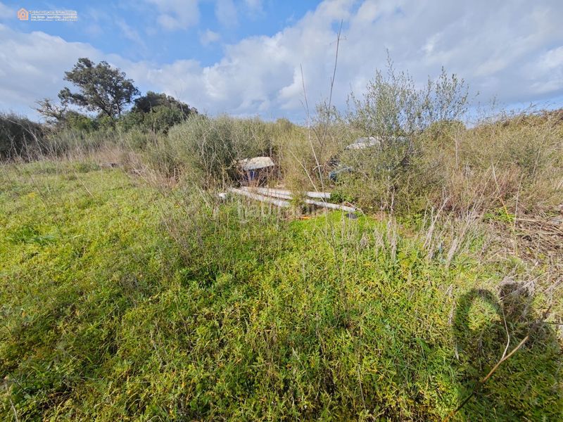 Foto 1e7ceabf-e130-4fa6-a920-80cb97ab2788. Casale in Capdepera 12 in Capdepera poble Capdepera