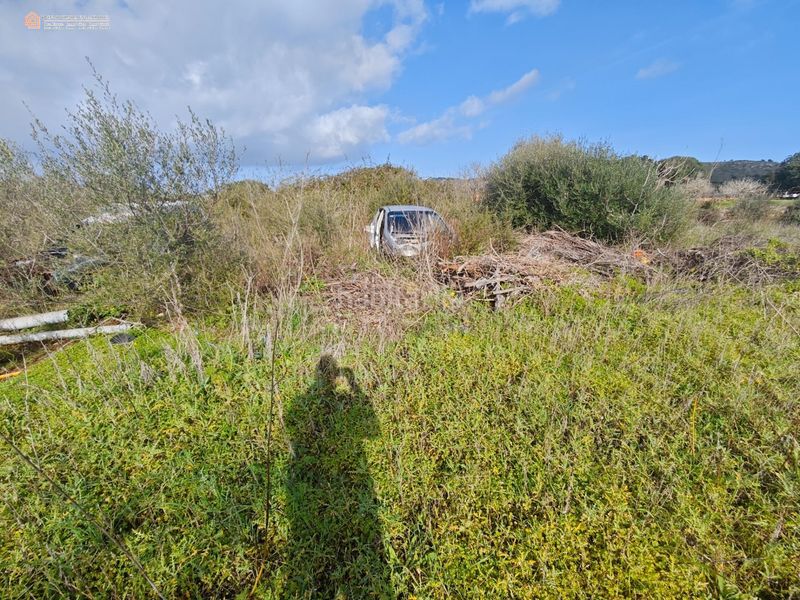 Foto 34af6307-c0f2-48a8-9be1-2833b868ef6c. Casale in Capdepera 12 in Capdepera poble Capdepera