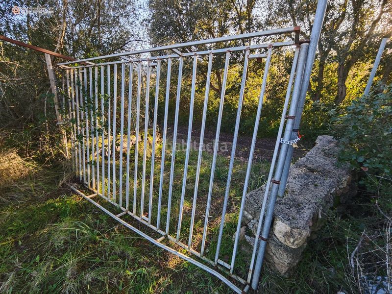 Foto b0c19803-328c-4fb1-b653-4fa20c03a662. Casale in Capdepera 12 in Capdepera poble Capdepera