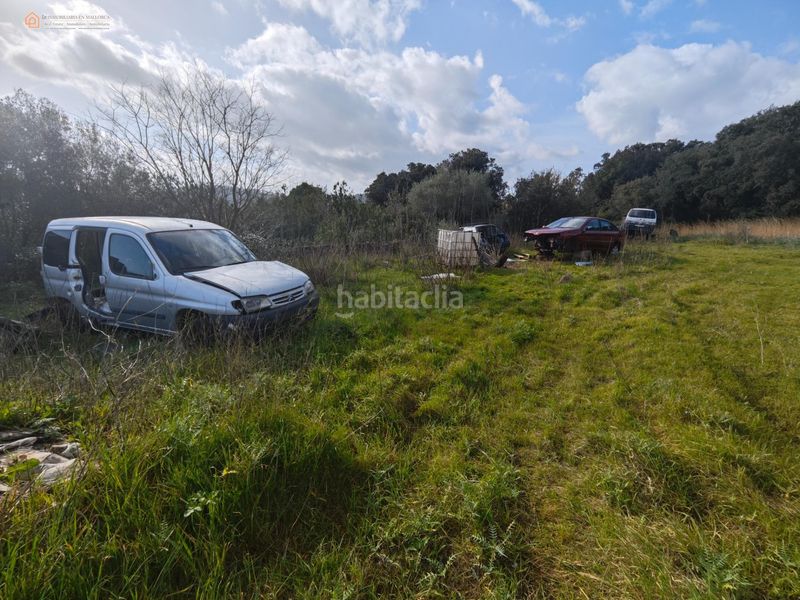 Foto e1e7b33a-fd61-47b1-84f7-61c367f9c68f. Casale in Capdepera 12 in Capdepera poble Capdepera