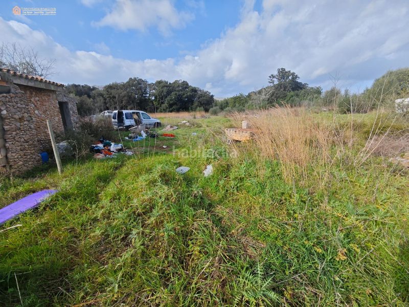 Foto f874ddad-1831-4f40-b6eb-8325b2c67307. Casale in Capdepera 12 in Capdepera poble Capdepera