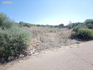 Terreny residencial a Campos 10. Exclusiva parcela rústica edificable en campos con proyecto y vi