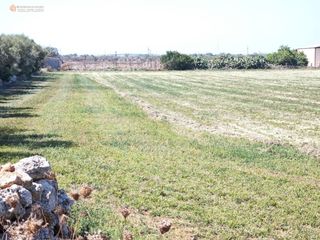 Residential Plot  Campos 10. Exclusiva parcela rústica edificable en campos con proyecto y vi