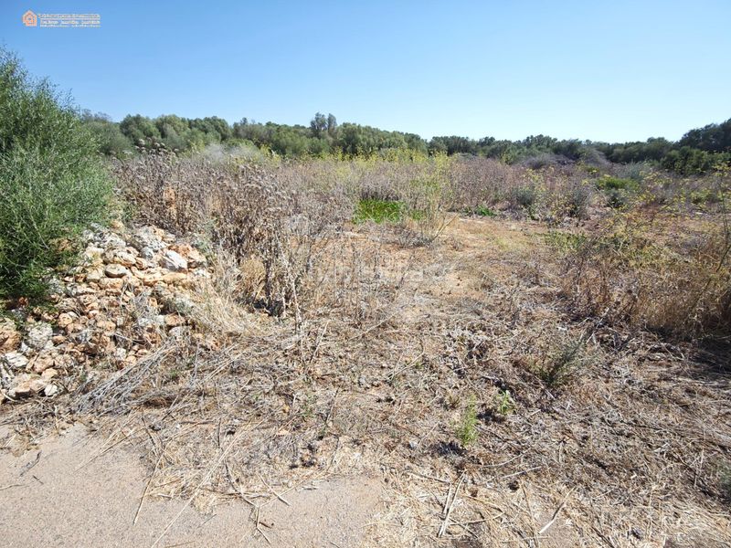 Foto f8b4f040-dfdc-46ee-baa3-6c745b7a67e0. Terreno residencial en Campos 10 exclusiva parcela rústica edificable con proyecto y vistas privilegiadas en Campos