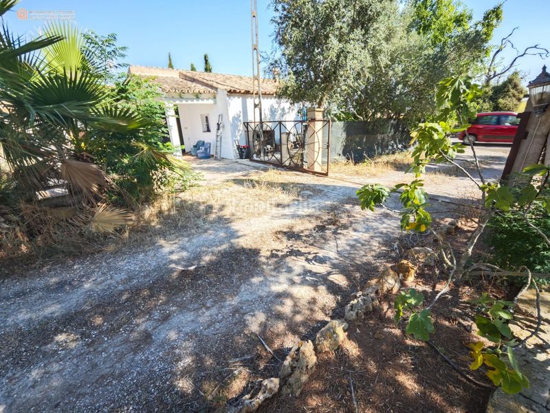 Foto 174bd3eb-fdf0-4936-a5f0-ee9be22b9897. Terreny residencial a Campos poble Campos