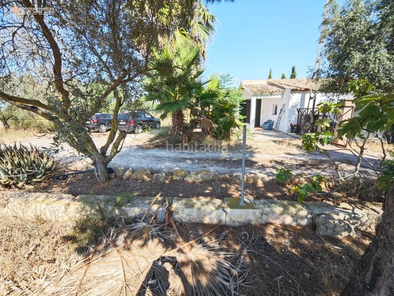 Foto 199f1c92-eeb1-4ec2-b986-5174457b0291. Terreny residencial a Campos poble Campos