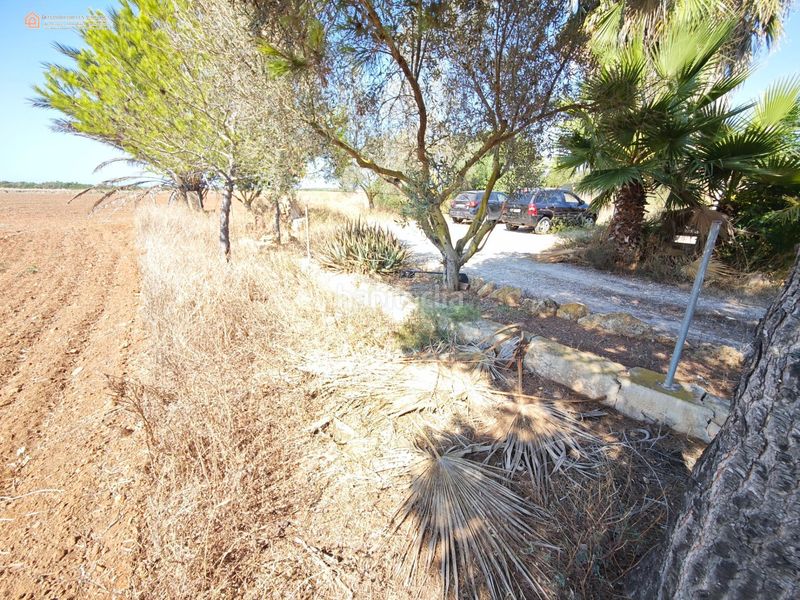 Foto 5837dd5f-497f-442d-bfbf-2fd6df0ea788. Terreny residencial a Campos poble Campos