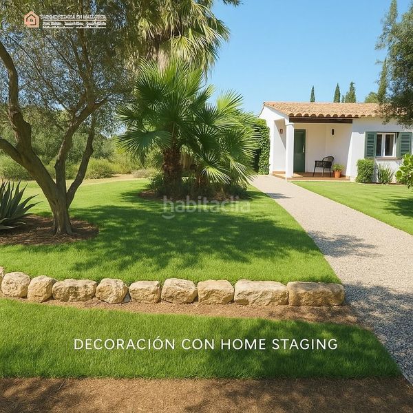 Foto a5fa42be-7c0c-4c46-8469-7e2b82805cde. Terreny residencial a Campos poble Campos