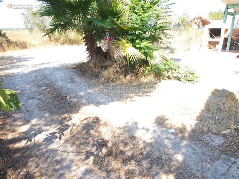 Foto b317a7f2-4ded-41ae-8692-aa1319afbc85. Terreny residencial a Campos poble Campos