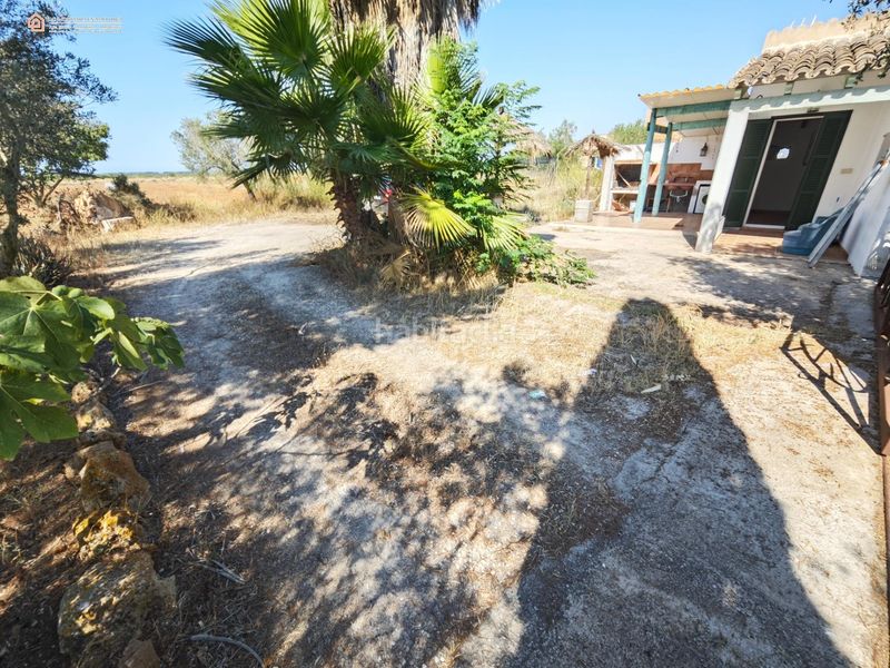 Foto fdf0355b-78cc-45de-bd59-f69f4676442d. Terreny residencial a Campos poble Campos
