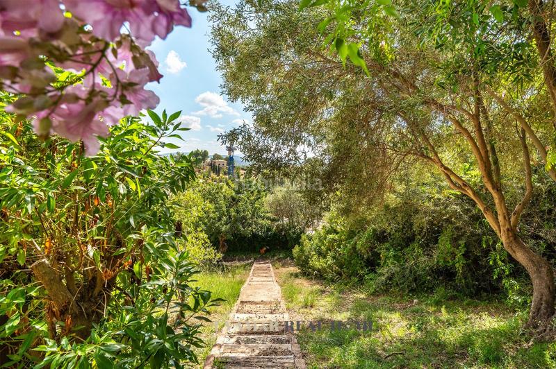 Foto edb52c41-d85c-490b-a9bb-9543bcf7459b. Xalet amb calefacció aparcament piscina a Bunyola