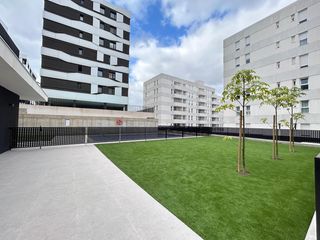 Lloguer Pis  Calle doctor alfonso chiscano díaz