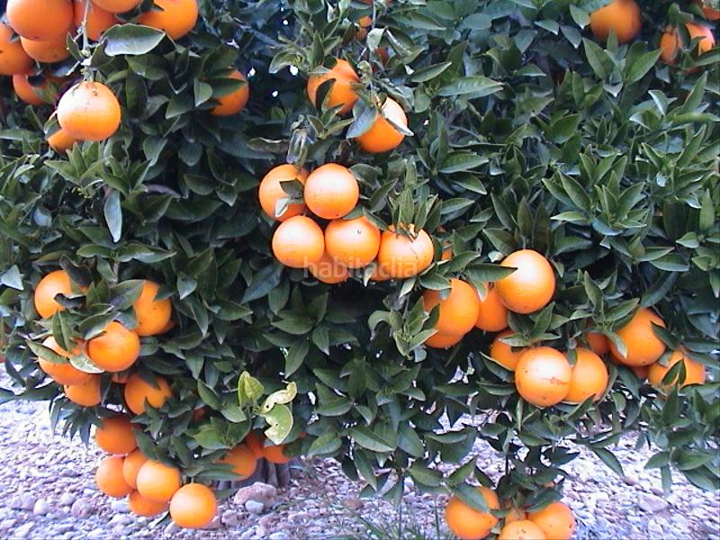 Foto bf670fd6-8534-4fc8-9543-08617f880060. Chalet avec chauffage parking dans Alcanar